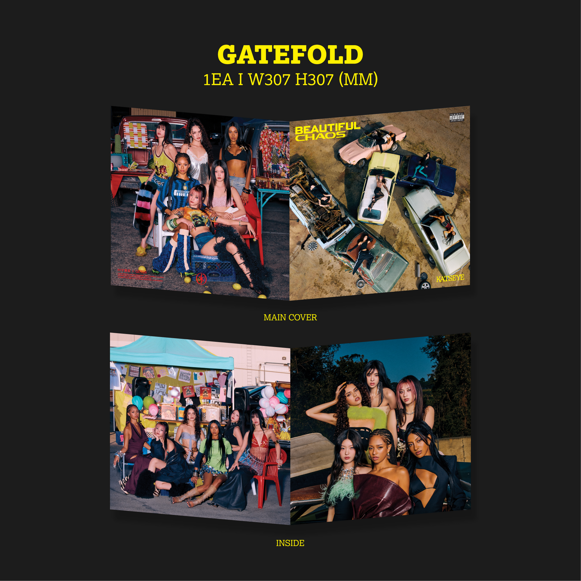 BEAUTIFUL CHAOS - Store Exclusive Vinyl