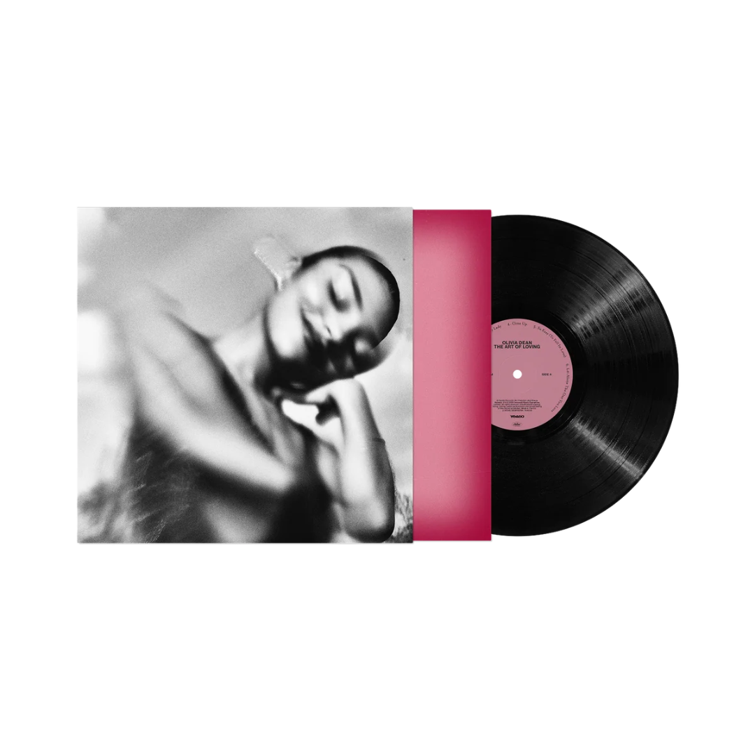 The Art of Loving Vinyl